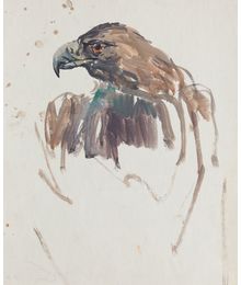 Birds. Sketch. Viktor Konovalov