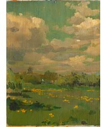 Flowering meadow. Vassily Minyaev
