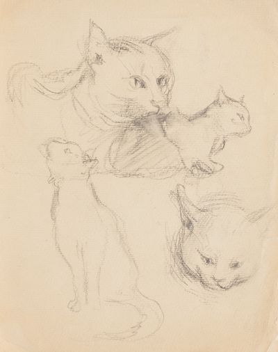 Cats. Sketches. Evsey Reshin