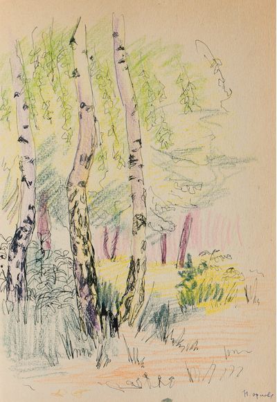 Birch-trees. Natalia Orlova